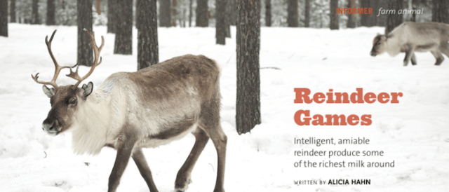 reindeergames